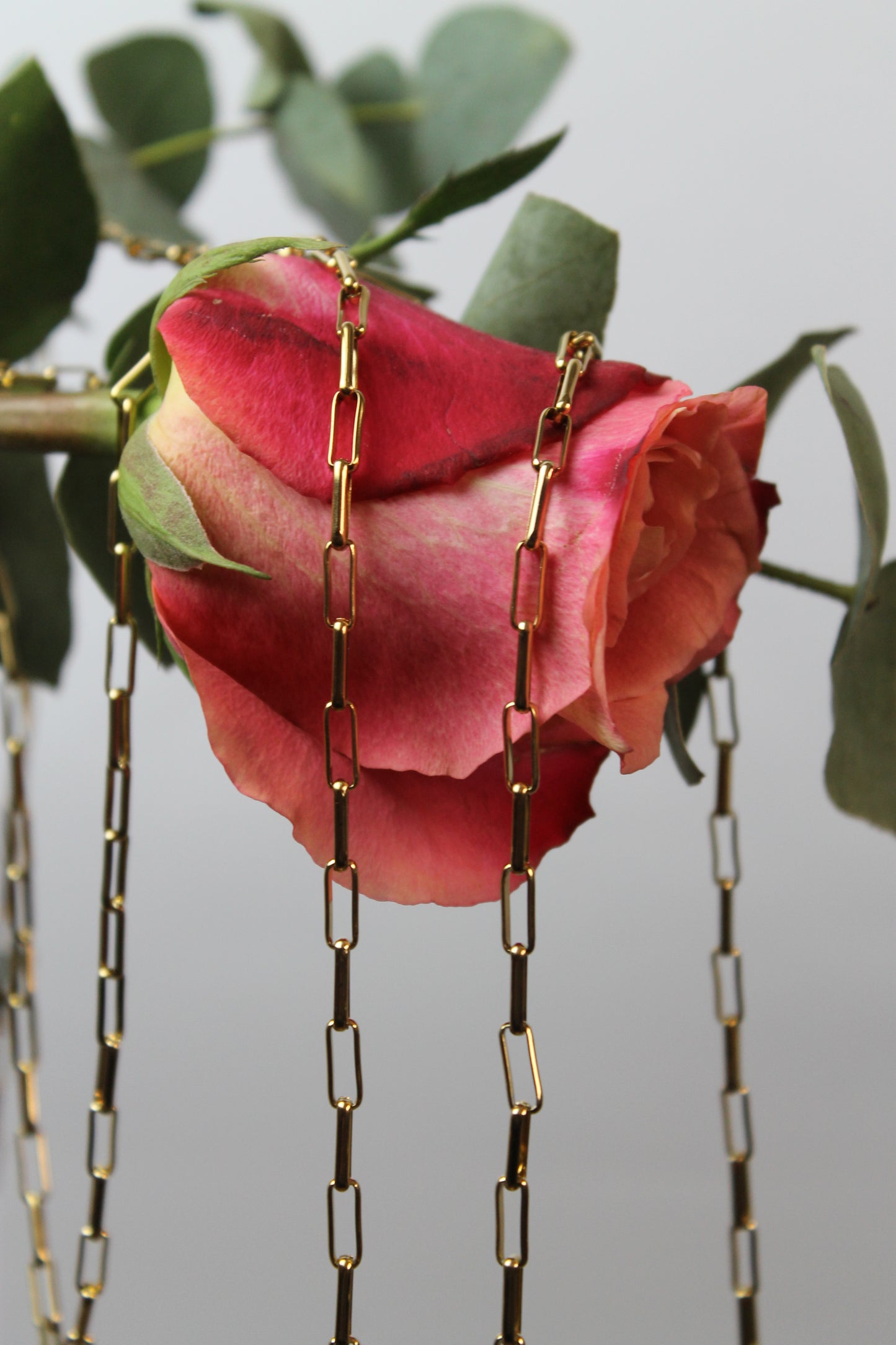 Create your own  Charm Kette Bianca