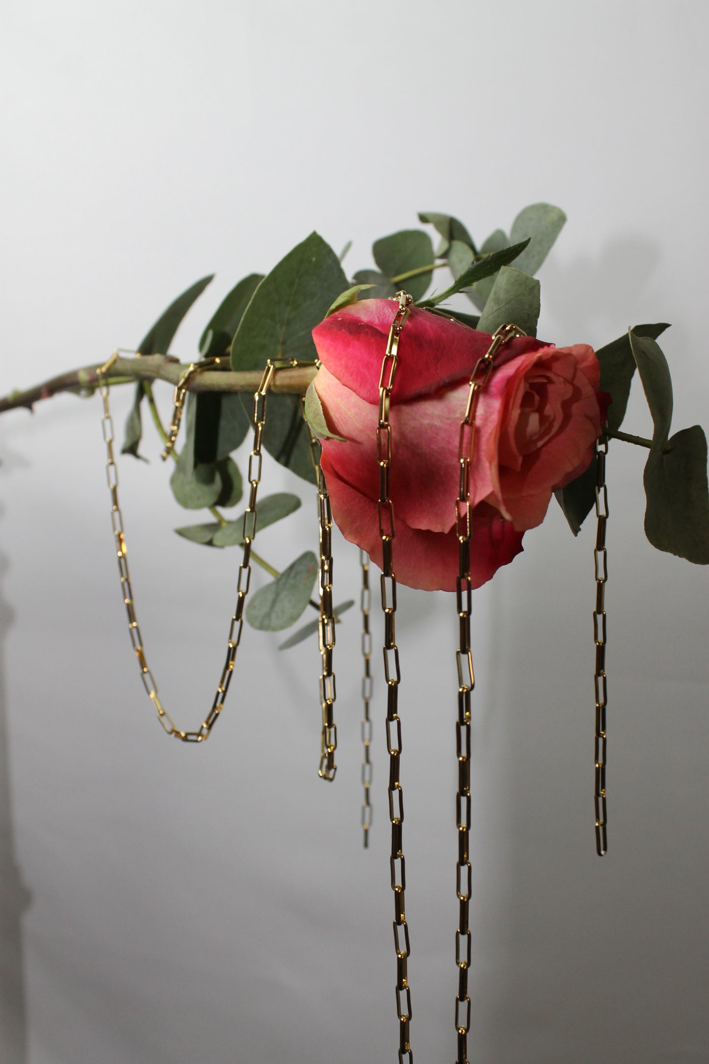 Create your own  Charm Kette Bianca