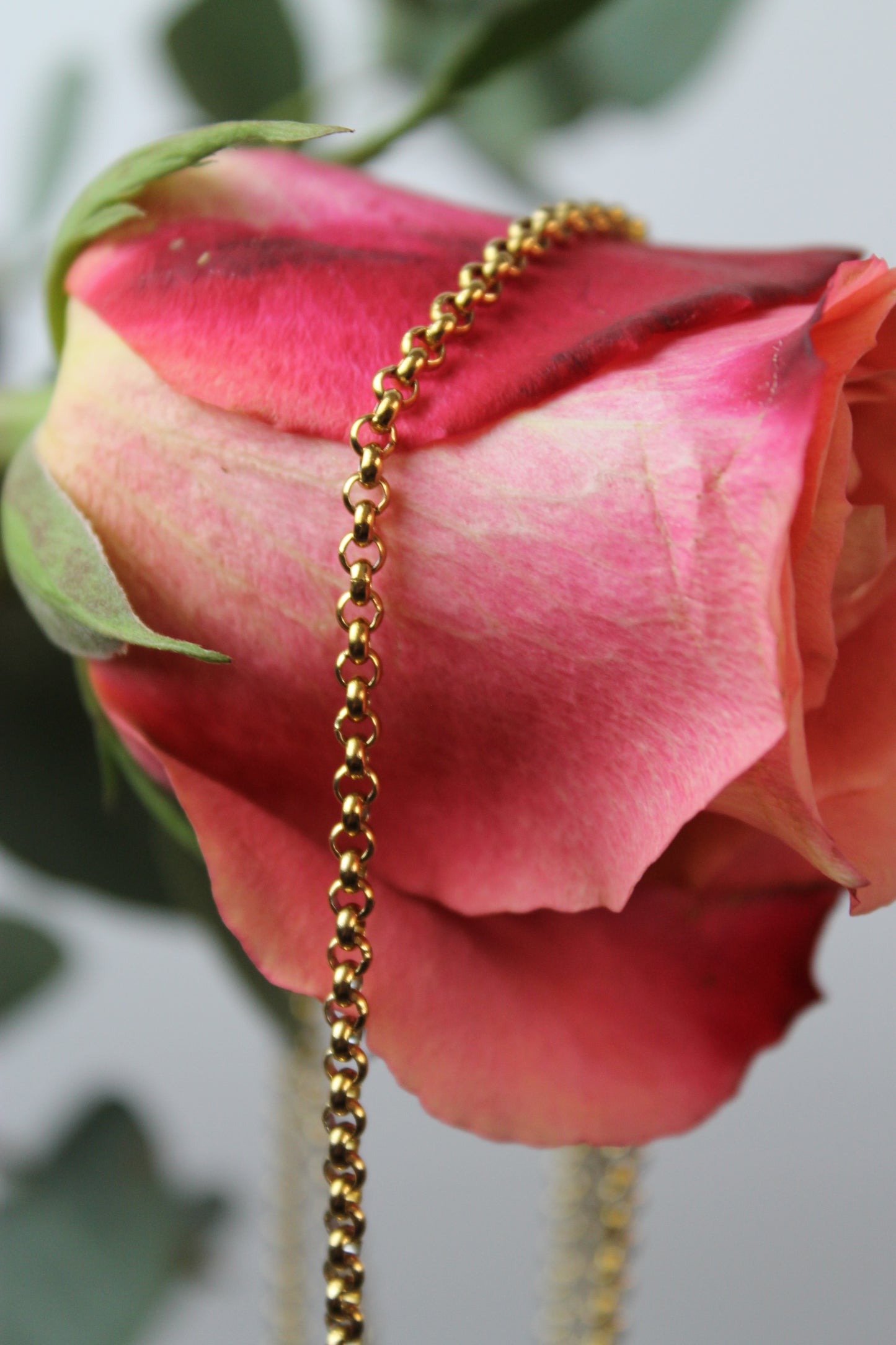 Create your own Charm Kette Allegra