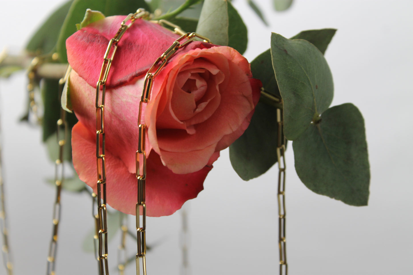 Create your own  Charm Kette Bianca